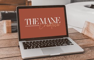 Introducing our Marketing Agency: The Mane Creative