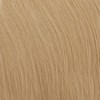 Hotheads 23- Natural Golden Blonde 10-12 inch